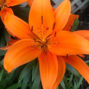 Meet your Posher, Beth